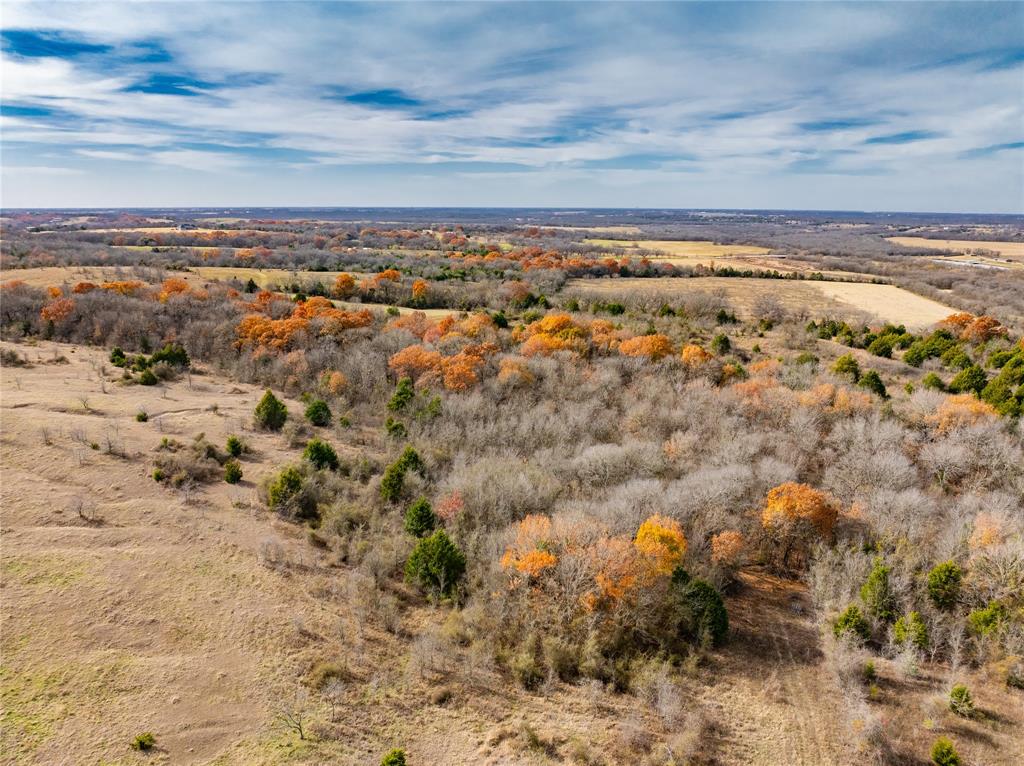 R. de la Pena League - Land