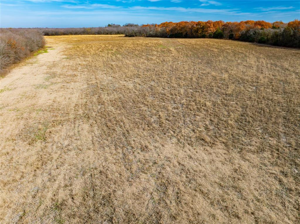 R. de la Pena League - Land