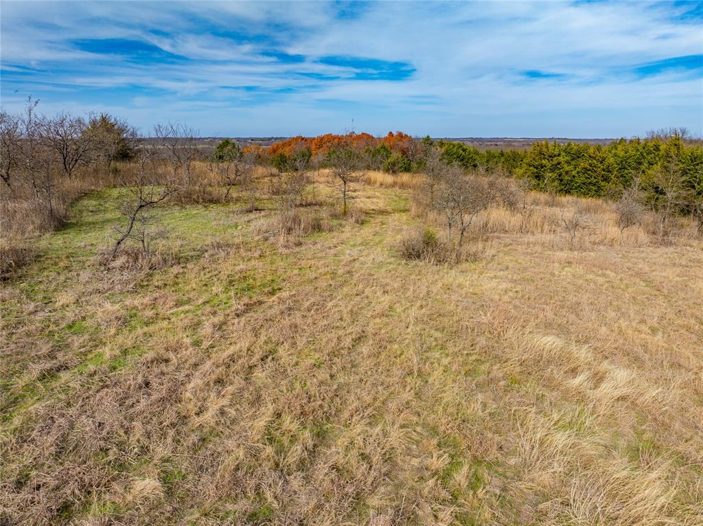 R. de la Pena League - Land