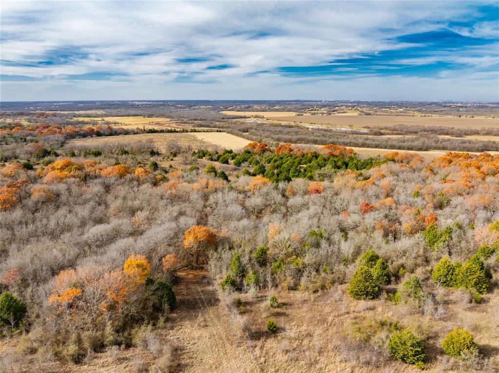 R. de la Pena League - Land