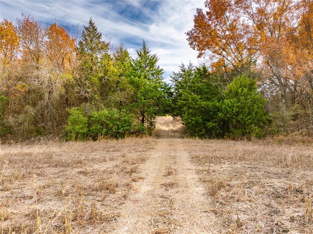 R. de la Pena League - Land