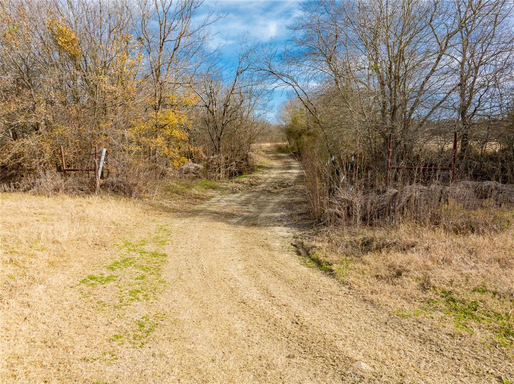 R. de la Pena League - Land