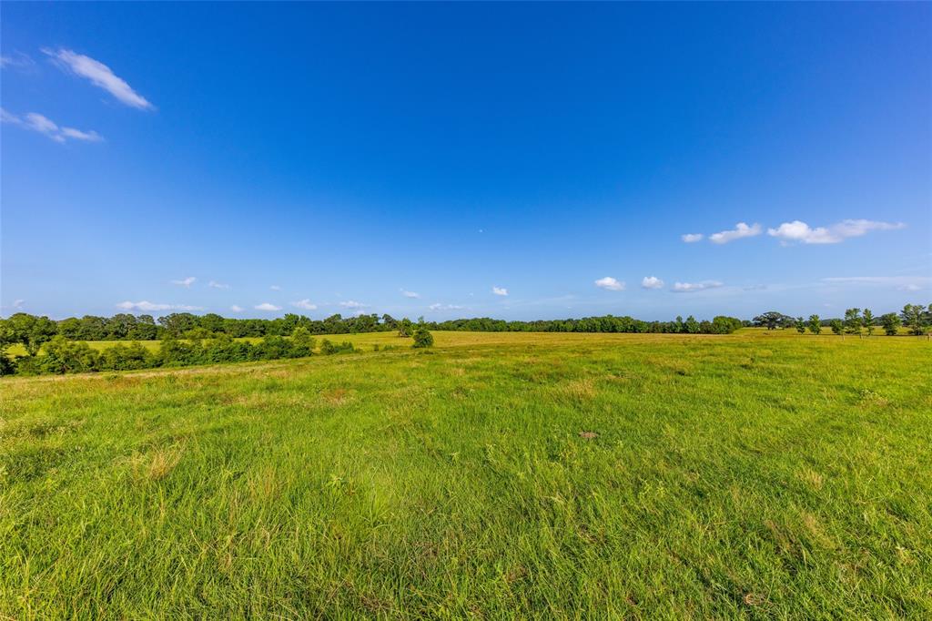 Carter Cannon Headright Sulvey - Farm