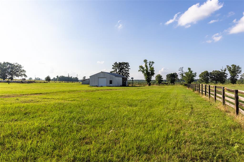 Carter Cannon Headright Sulvey - Farm