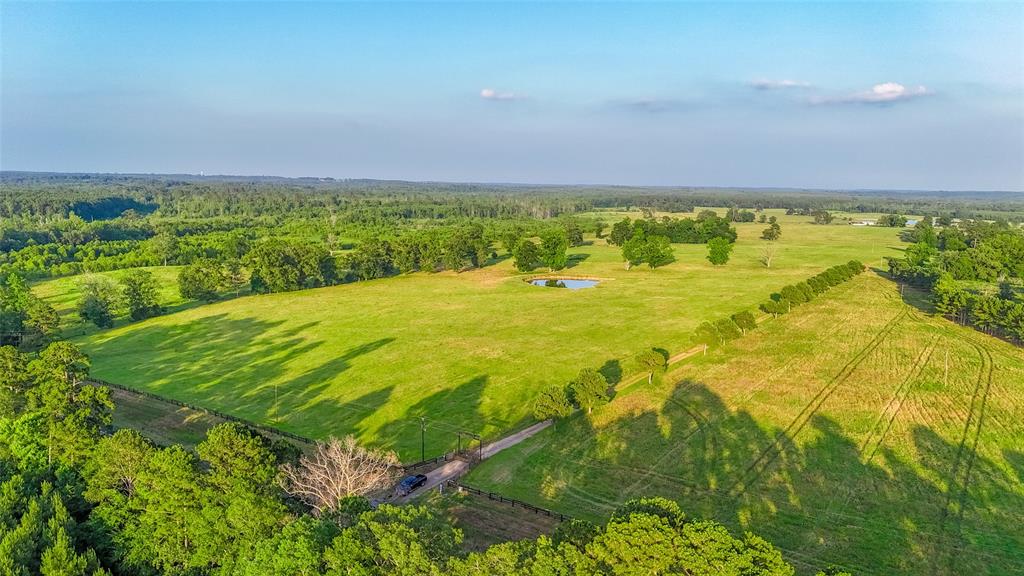 Carter Cannon Headright Sulvey - Farm