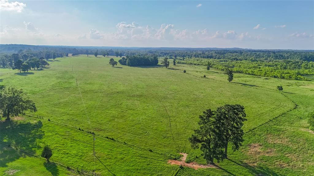 Carter Cannon Headright Sulvey - Farm