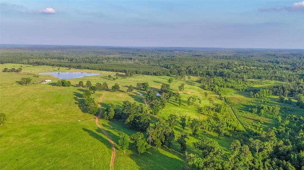 Carter Cannon Headright Sulvey - Farm