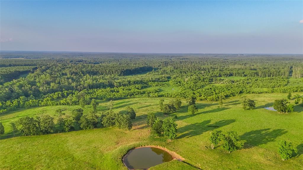 Carter Cannon Headright Sulvey - Farm