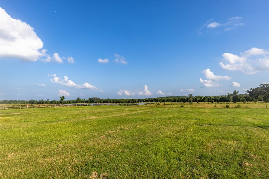 Carter Cannon Headright Sulvey - Farm