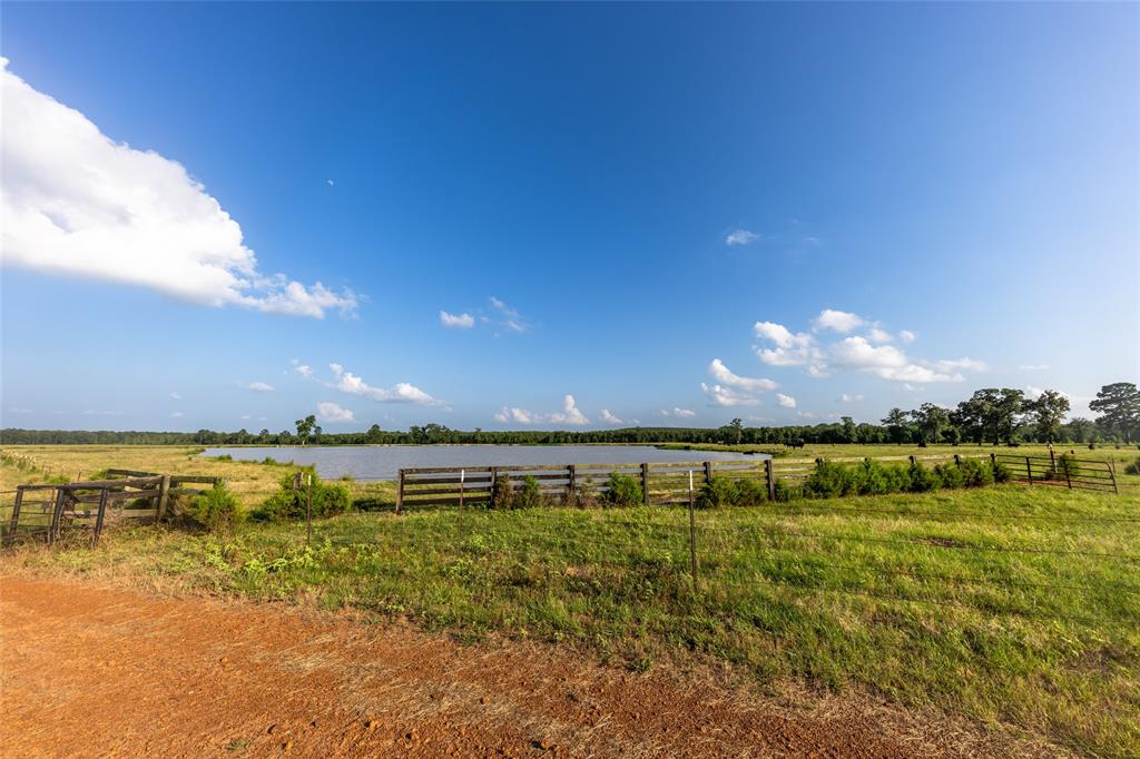 Carter Cannon Headright Sulvey - Farm