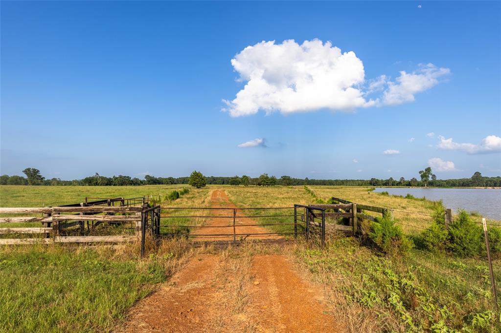 Carter Cannon Headright Sulvey - Farm