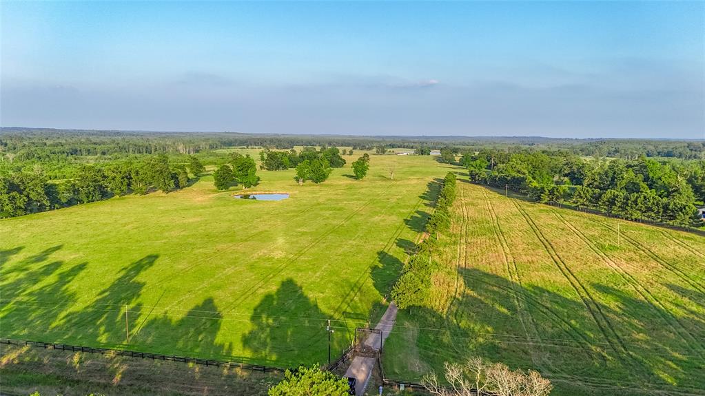 Carter Cannon Headright Sulvey - Farm