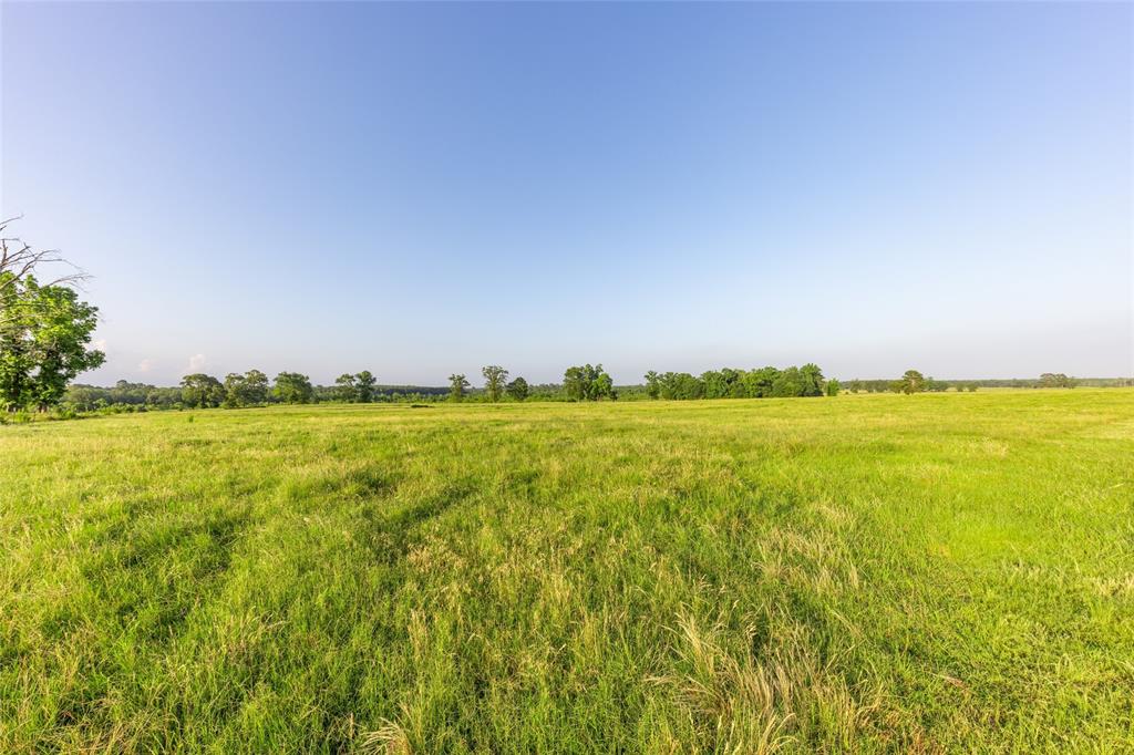 Carter Cannon Headright Sulvey - Farm