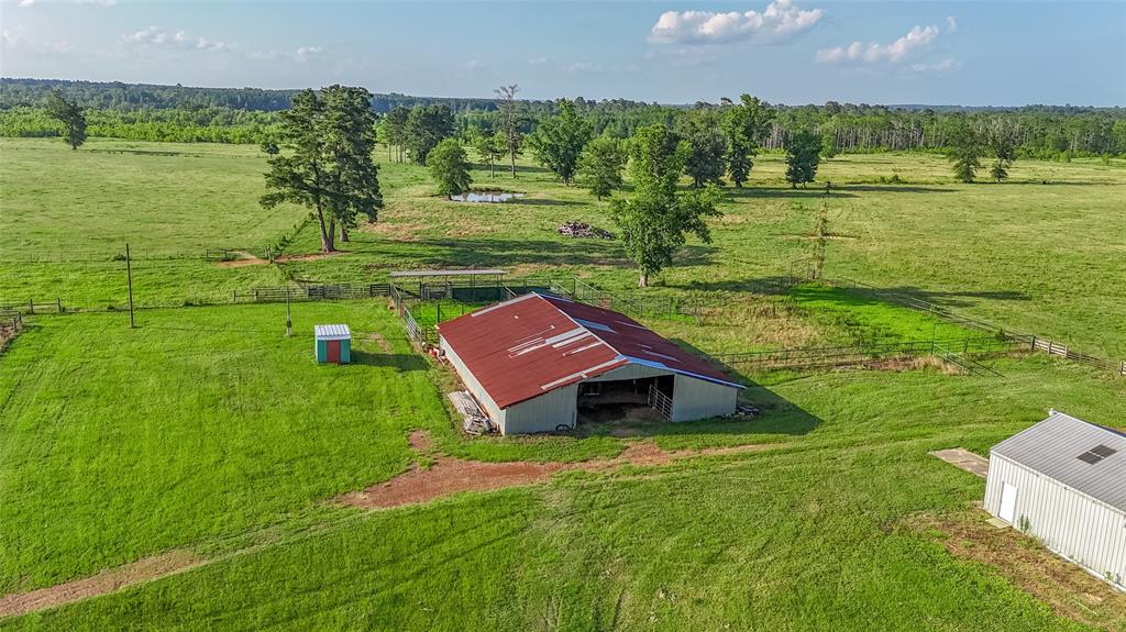 Carter Cannon Headright Sulvey - Farm