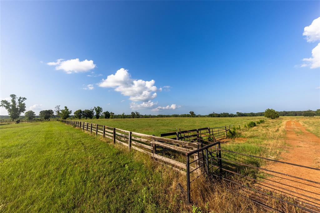 Carter Cannon Headright Sulvey - Farm