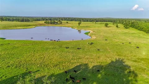 9759 Texas Highway 155 RD Avinger TX 75630