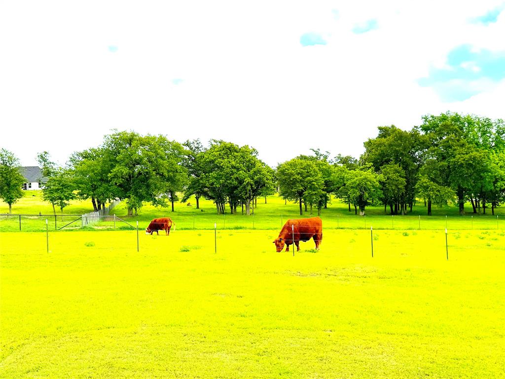 Oak Tree Ranch Estates - Residential
