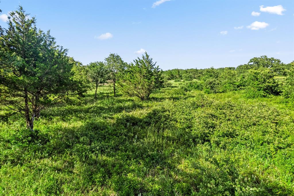 The Ranches at Blackjack - Land