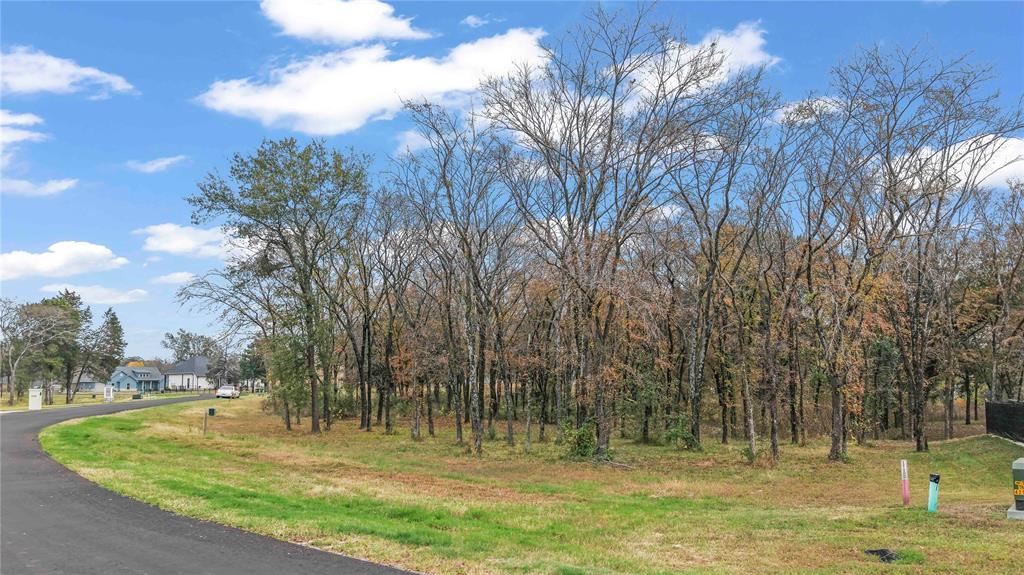 CEDAR CREEK LANDING - Land