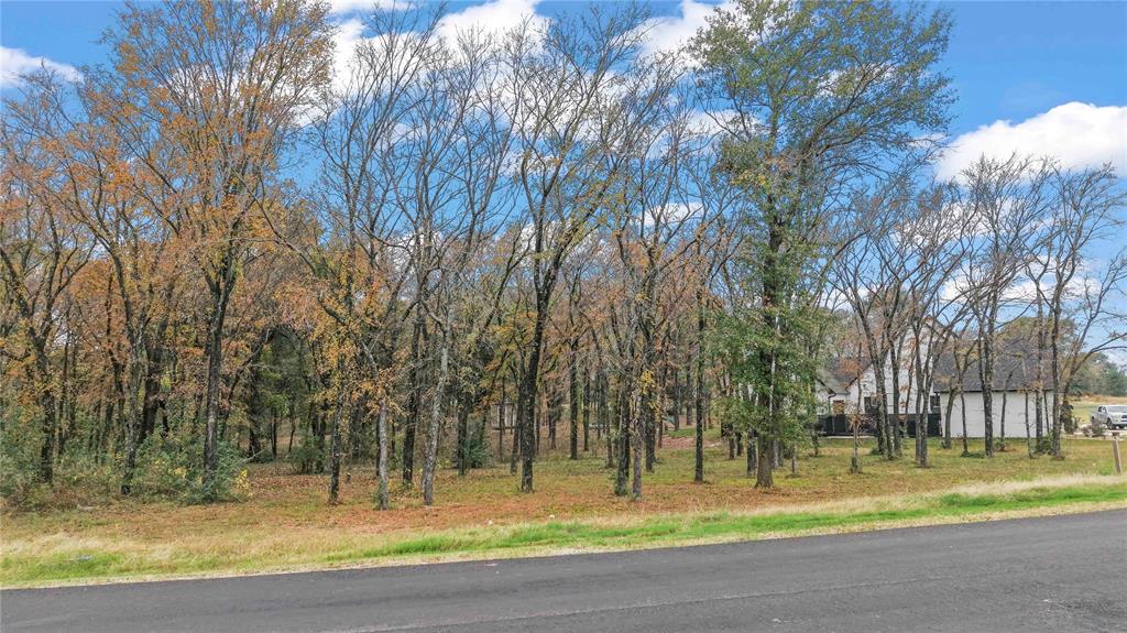 CEDAR CREEK LANDING - Land