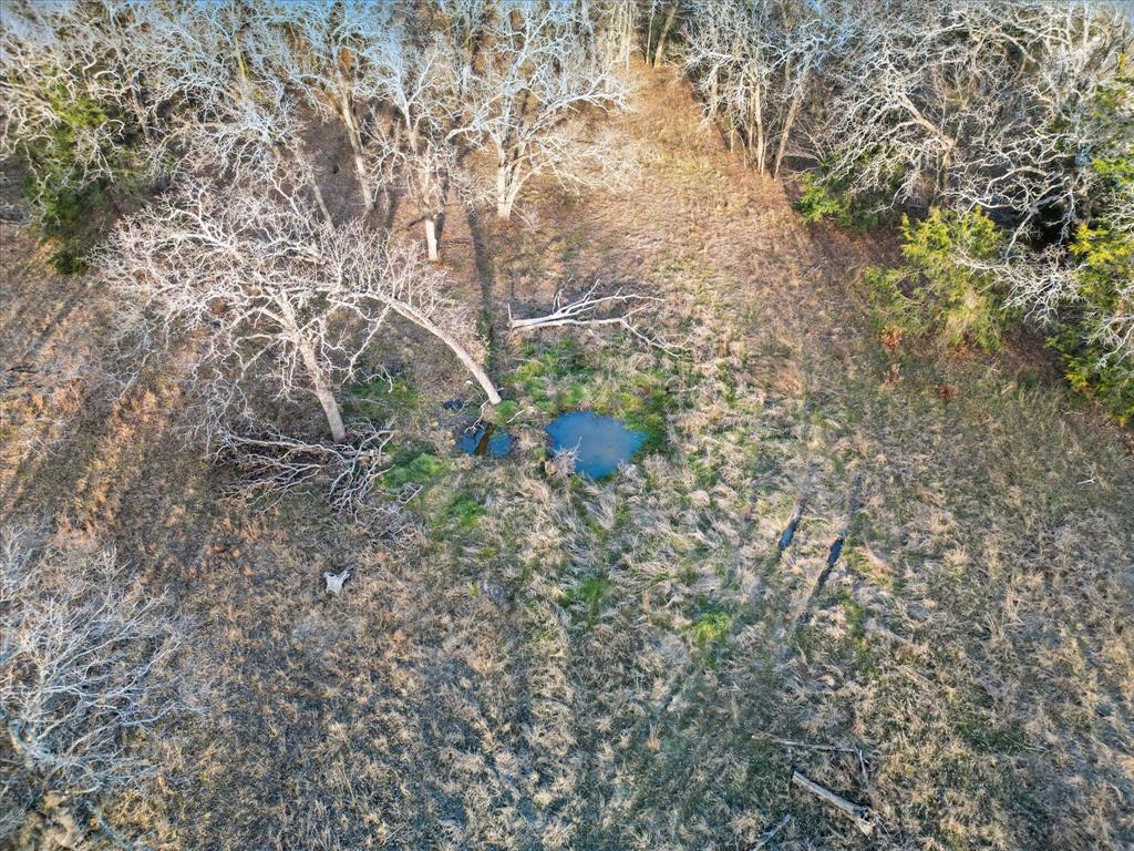 Tucumcari Ranch Estates - Land