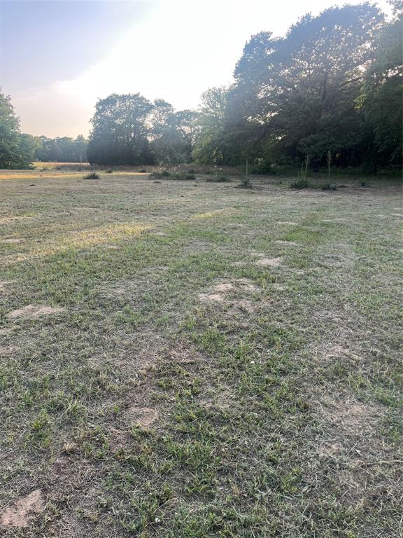 Dogwood Forest Estate - Residential