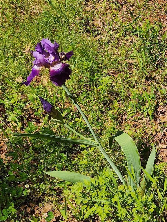 GARDNER - Residential