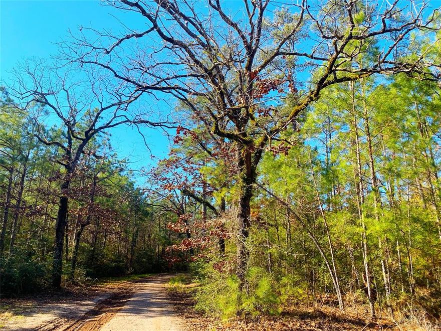 Huge opportunity for a large tract with I-45 frontage, in Walker County, just north of Huntsville, Texas. Heavily wooded and rolling topography with Cedar Branch Creek flowing through the eastern side of it.