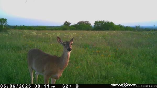 The Ranches at Comanche Valley - Land