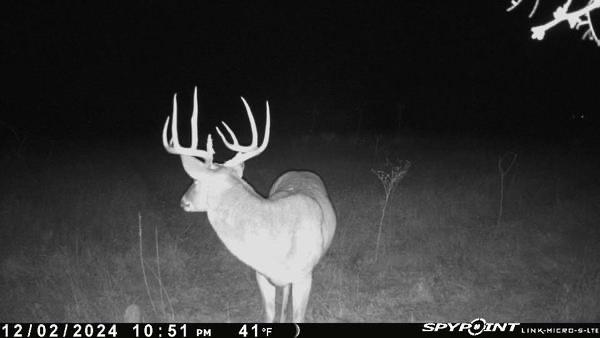 The Ranches at Comanche Valley - Land