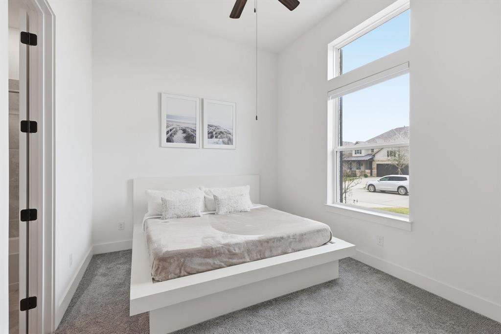 2020 Grey Bark Street