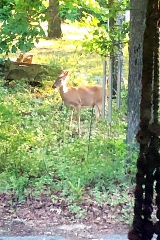 Sand Hills II - Land