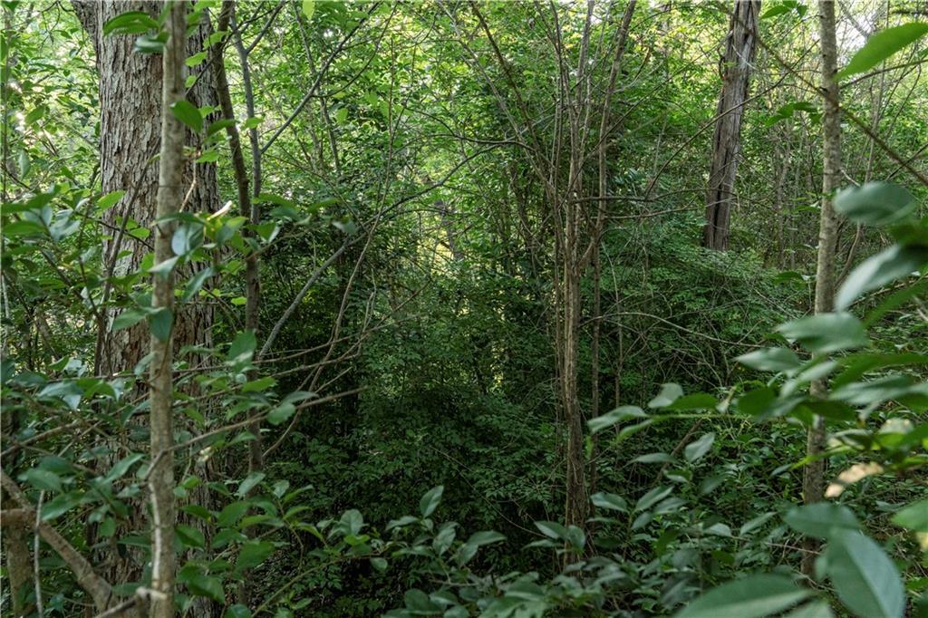Blue Bonnet Cliffs - Land