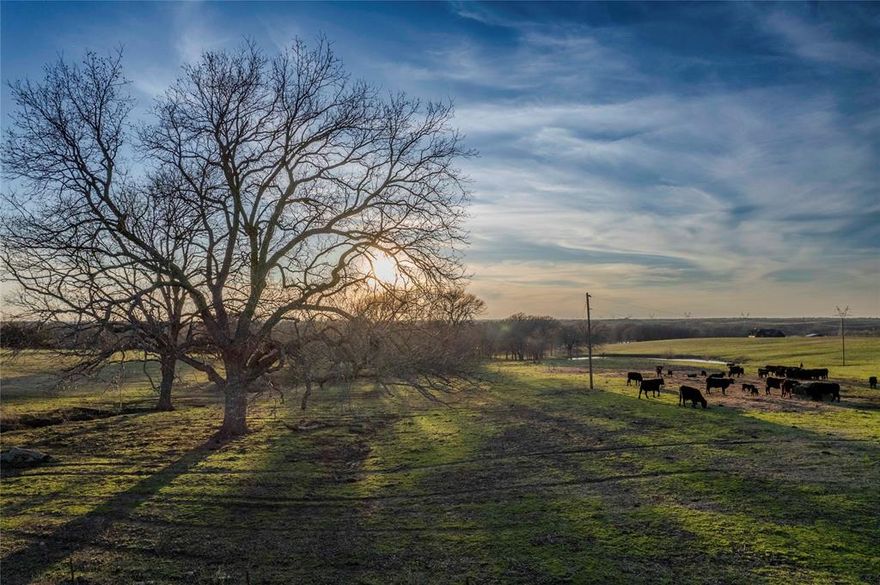 This stunning 167-acre ranch in Bonham, Texas, is the perfect blend of rural charm and modern convenience, offering an idyllic escape from the hustle and bustle of city life. Just under an hour from DFW, this property truly has it all, from rolling hills and sprawling pastures to serene ponds of timber. Property Highlights: Versatile Land Use: Currently utilized for cattle and hay production, this expansive ranch offers endless possibilities for agriculture and recreation. Water Features: 5 bass ponds, several of which are large, provide excellent opportunities for fishing. Fencing and Livestock Facilities: The entire property is fenced and cross-fenced, equipped with essential livestock facilities including feeding troughs, corrals, gates, and chutes. Natural Beauty: The ranch is adorned with pecan trees and a variety of soft and hardwoods, offering picturesque views and a tranquil environment. Enjoy watching resident geese and breathtaking sunsets in the pecan grove near the front of the property. Residential and Agricultural Buildings: Main House: A recently renovated two-story home spanning 4,571 sq ft features 4 bedrooms, 4 baths, an office, a front sitting room, an attached garage, a carport, and a covered patio. Barn: A spacious 2,880 sq ft barn includes an efficiency apartment with utilities, providing additional living or guest space. Utilities: The property is well-equipped with electricity, public water, and a septic system. Additional Features: Exemptions: Ag and Homestead Exemptions are in place, offering tax benefits. Accessibility: With close to a mile of County Road frontage on 2 sides, the ranch is easily accessible. It's only 15 minutes from Bois D’Arc Lake and Bonham State Park, and a short drive to Sherman, Denison, and Honey Grove. Convenient Location: Located just 3 miles from HWY 82, 5 miles from HWY 121, and 6 miles from HWY 56, ensuring quick and easy travel to surrounding areas.