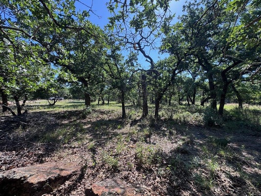 GLENHOLLOW DR, GORDON, TX 76453 - Image 6dcb0dde71e47a860cdbd111b4d37fa8/1452118041