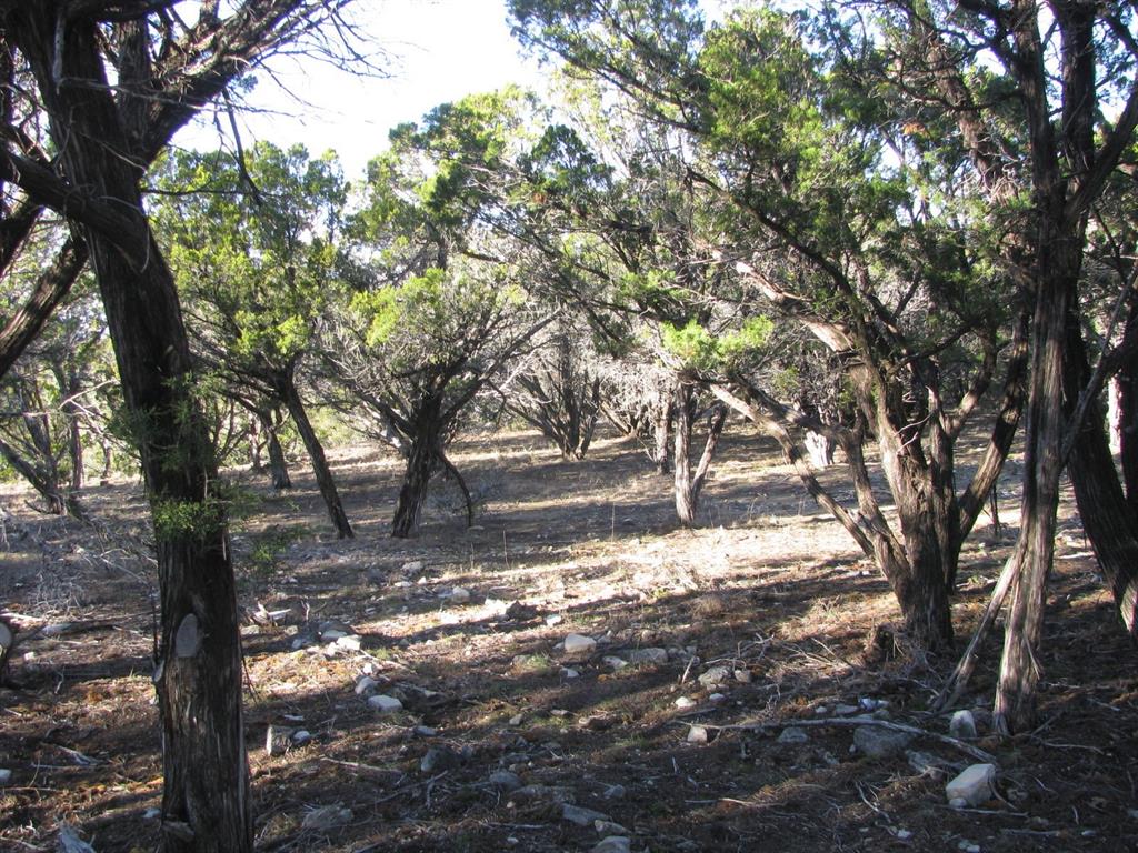 Buffalo Crk Ranch - Land