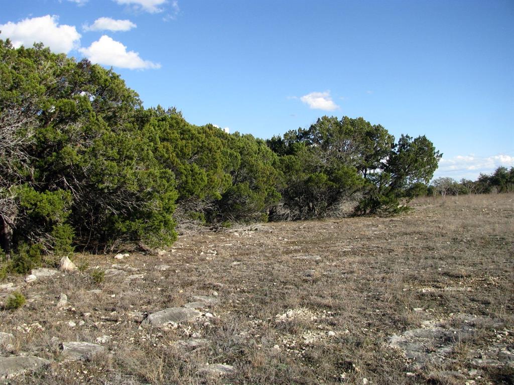 Buffalo Crk Ranch - Land