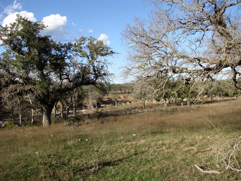 Buffalo Crk Ranch - Land