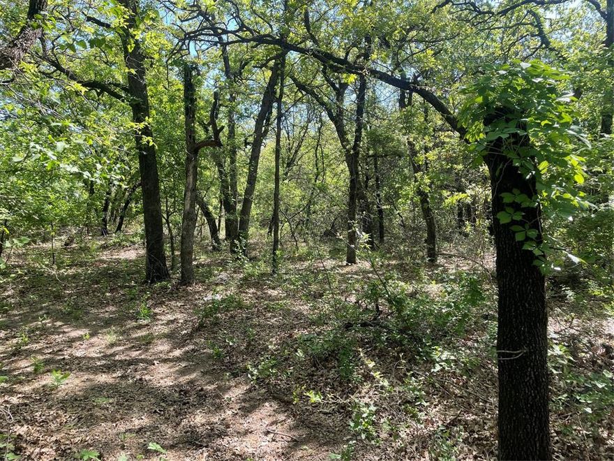 Residential vacant lot in Wise County. Build your single family home or mobile home on this 1.84 treed lot! Call agent with any questions. Sign on the property. APN 783709