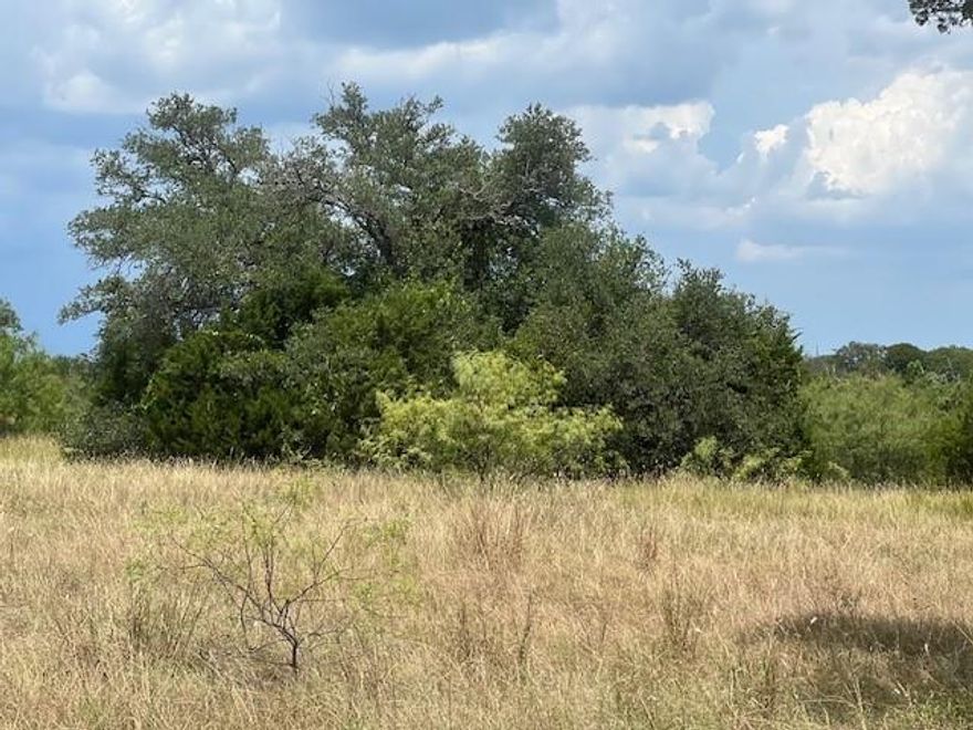 THIS IS A VERY NICE LEVEL LOT CLOSE TO THE BLUFFS. INCLUDES TRANSFERRABLE GOLF MEMBERSHIP AND FULL ACCESS TO ALL RESORT AMENITIES WHICH INCLUDE POOLS ,TENNIS,PICKLE BALL,ETC NOT LAKE FRONT BUT VERY CLOSE TO THE BLUFFS. A VERY NICE AND PEACEFUL PLACE TO CALL HOME. ABUNDANT WILDLIFE AND A TRANQUIL PLACE TO BE.