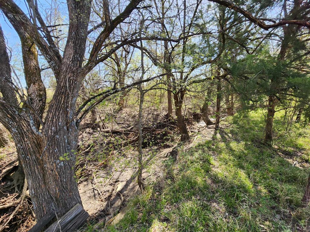 Buffalo Creek - Land