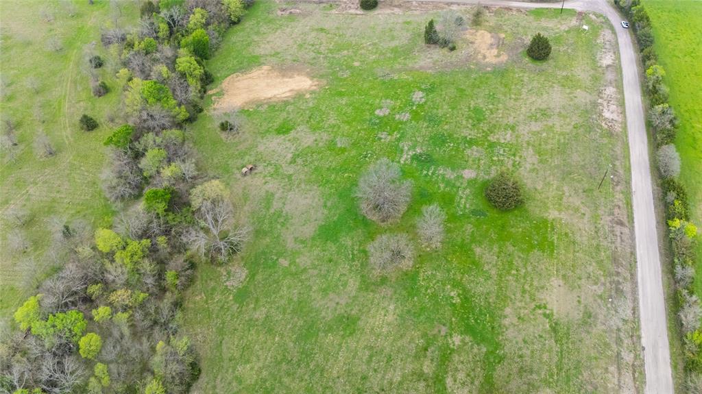 Buffalo Creek - Land