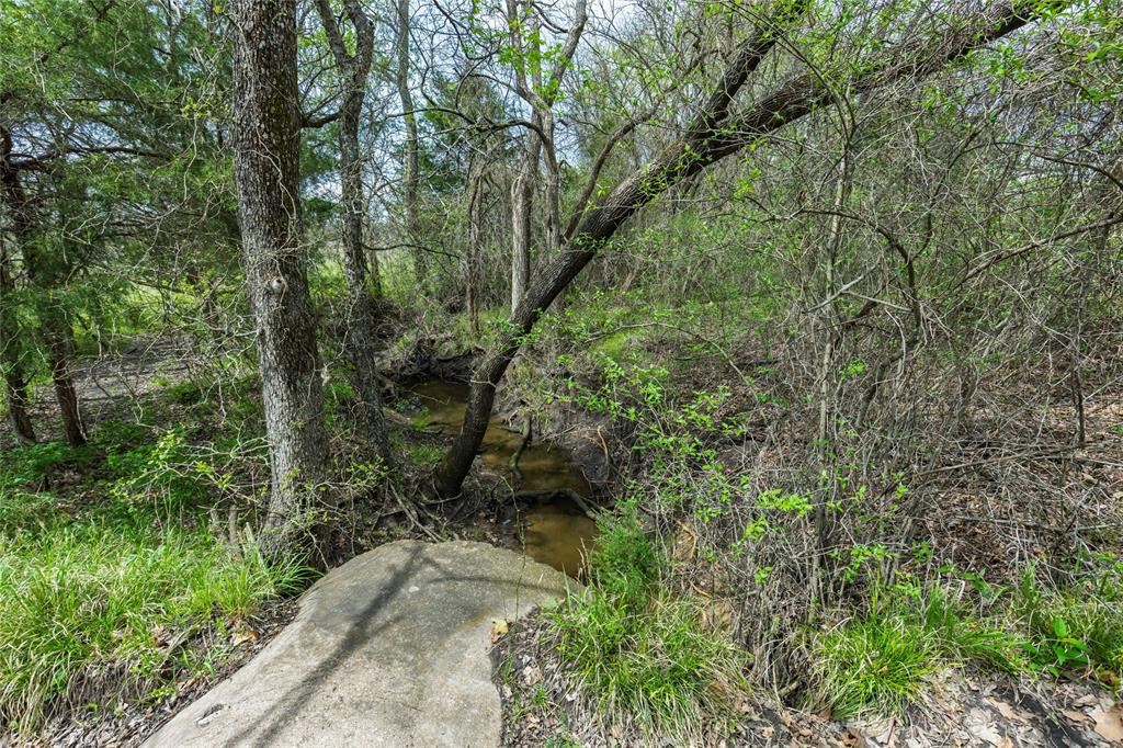 Buffalo Creek - Land