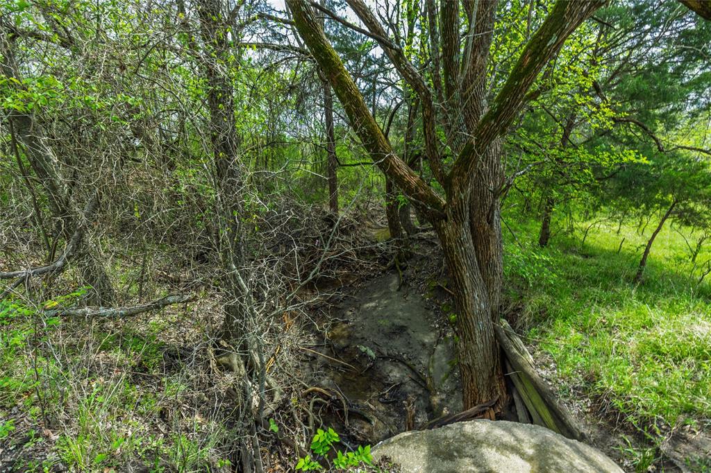 Buffalo Creek - Land