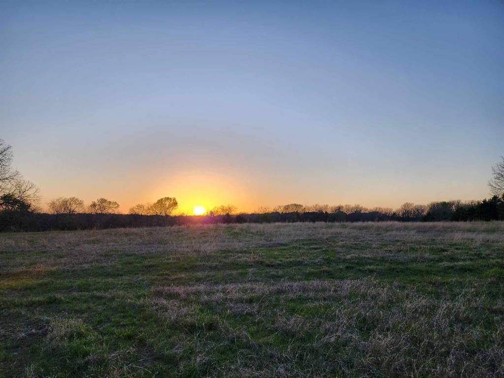 Buffalo Creek - Land