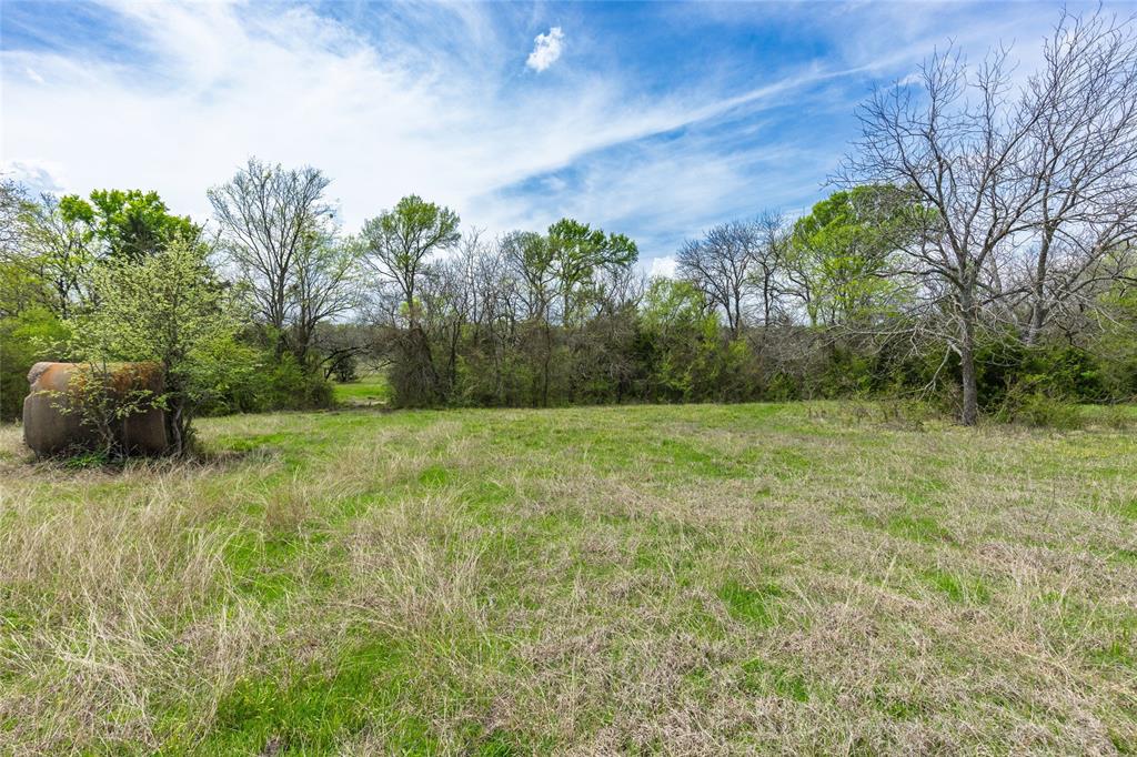 Buffalo Creek - Land