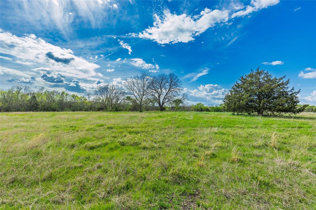 Buffalo Creek - Land