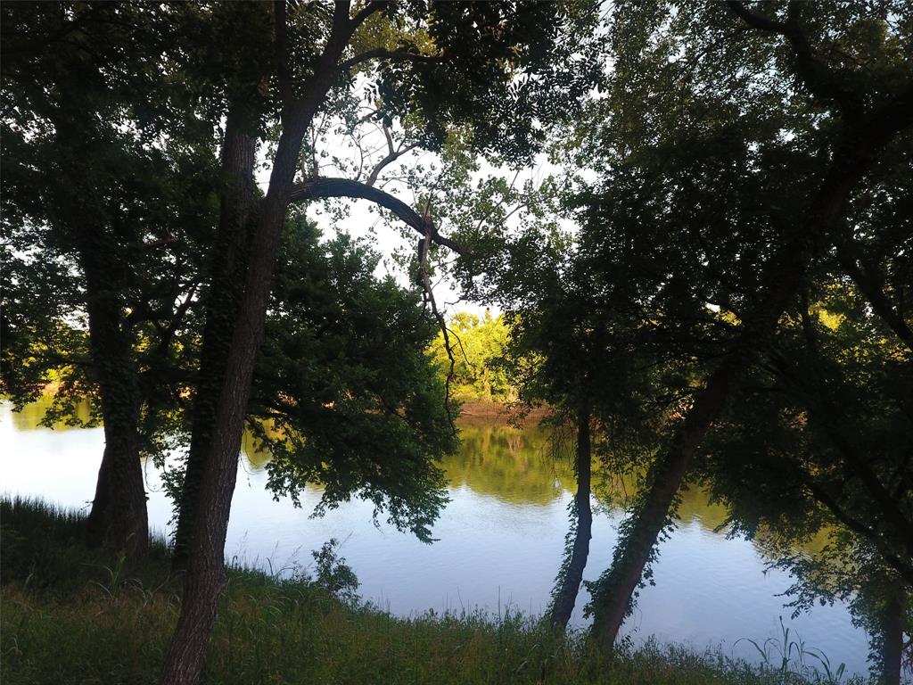 Pecan Plantation - Land