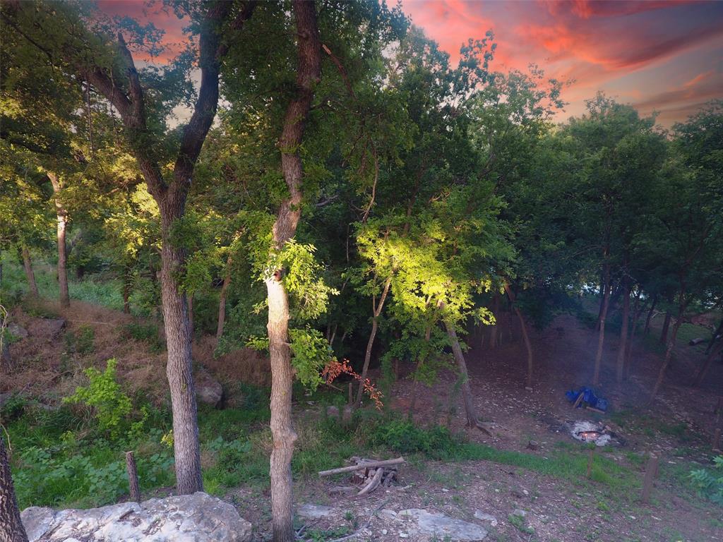 Pecan Plantation - Land