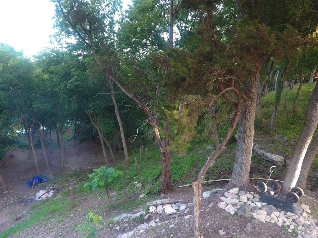 Pecan Plantation - Land